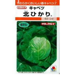 Lxc  y kЂ z (0.9ml) ( Lxc̎ )