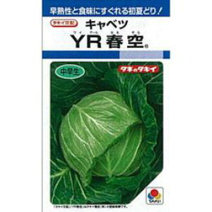 Lxc  y YRt z q L5痱 i   ؎q ؎ j