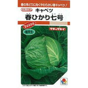 Lxc  y tЂ莵 z (RF 0.9ml) ( Lxc̎ )