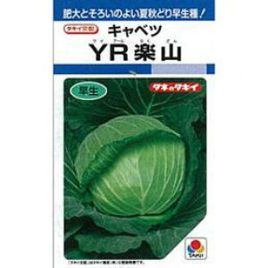 Lxc  y YRyR z q L5痱 i   ؎q ؎ j