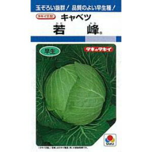 Lxc  y  z q L5痱 i   ؎q ؎ j