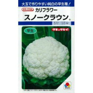 Jt[  y Xm[NE z q L5痱 i   ؎q ؎ j