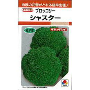 ubR[  y VX^[ z (RF 0.7ml) ( ubR[̎ )