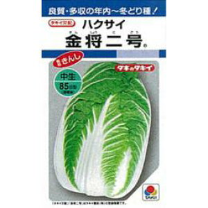   y  z q L5痱 i   ؎q ؎ j