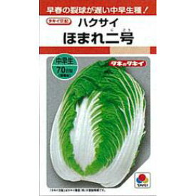 白菜 種 【 ほまれ二号 】 小袋(RF 1ml) ( 白菜の種 )