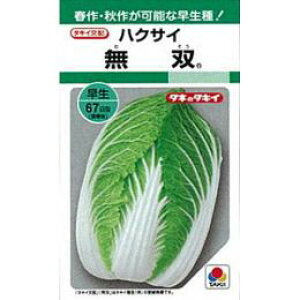   y o z q 1dl i   ؎q ؎ j