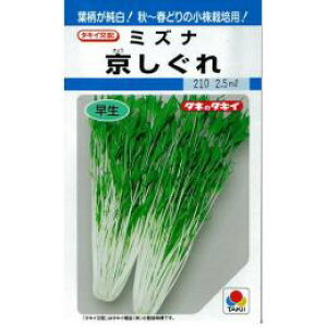   y  z (GF 5ml) ( ؂̎ )