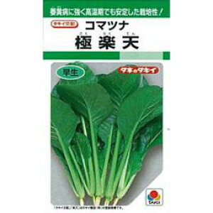   y ɊyV z  GF ( ؂̎ )