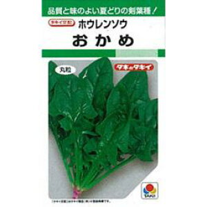 zE\E  y  z (GF 45ml) ( zE\E̎ )