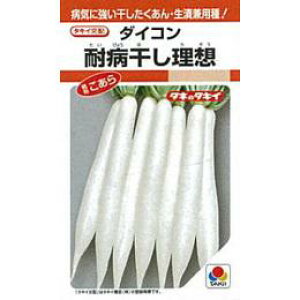 卪  y ϕaz z q 2dl i   ؎q ؎ j