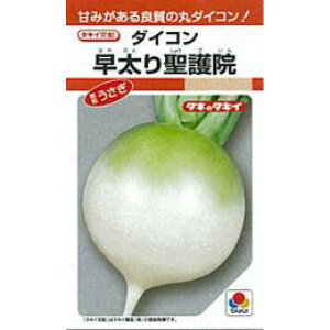 卪  y 萹@ z q 2dl i   ؎q ؎ j