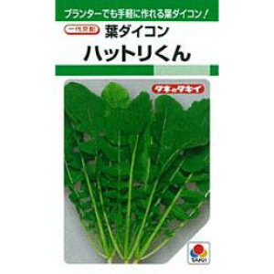 t卪  y nbg z q 1L i   ؎q ؎ j