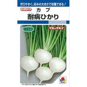 Ju  y ϕaЂ z (DF 6.5ml) ( Ju̎ )