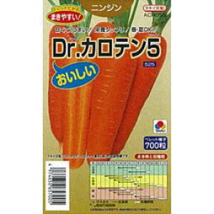 ɂ񂶂  y Dr.Je5 z q ybg2痱 i   ؎q ؎ j 