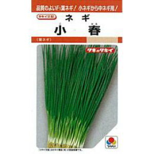 lM  y t z q 1L i   ؎q ؎ j