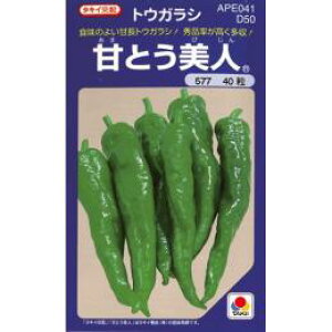 Ƃ  yÂƂlz 500 i   ؎q ؎ j