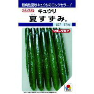 イ  yĂ݁z 350 i   ؎q ؎ j 