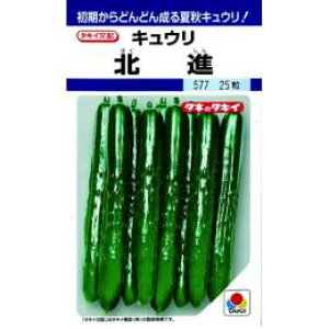 イ  ykiz 350 i   ؎q ؎ j 