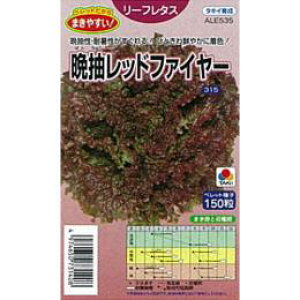 ^X  y Ӓbht@C[ z q ybgL5痱 i   ؎q ؎ j