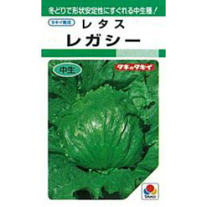 ^X  y KV[ z q ybgL5痱 i   ؎q ؎ j