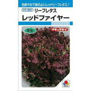 ^X  y bht@C[ z q ybgL5痱 i   ؎q ؎ j