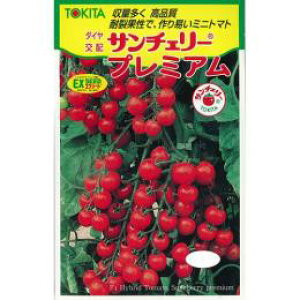 ~jg}g  yT`F[v~Az ܁i15j i   ؎q ؎ j 