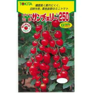 ~jg}g  yT`F[250z 100 i   ؎q ؎ j