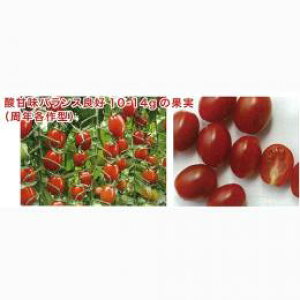 ~jg}g  yOz 100 i   ؎q ؎ j