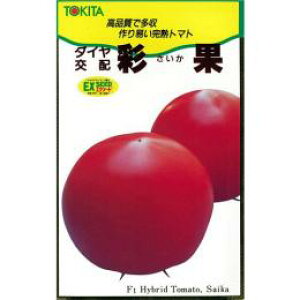 ʃg}g  yʉʁijz 30 i   ؎q ؎ j 