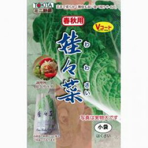 y X؏tHp z q ܁i1gj i   ؎q ؎ j