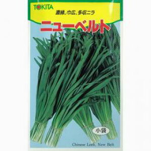 ɂ  y j[xg z q ܁i20mlj i   ؎q ؎ j