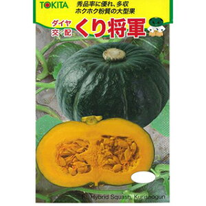 ڂ  y菫Rz 7 i   ؎q ؎ j 