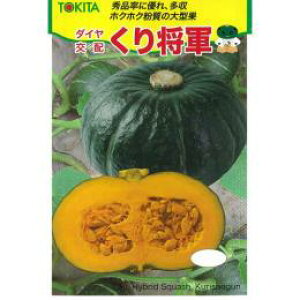 ���ڂ��� �� �y���菫�R�z 500�� �i �� ��� ��؎�q ��؎� �j