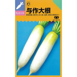 卪  y ^ z (6ml) ( 卪̎ )