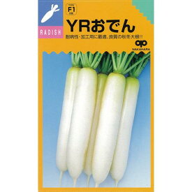 大根 種 【 YRおでん 】 種子 小袋（5ml） （ 種 野菜 野菜種子 野菜種 ）