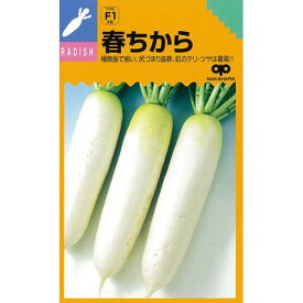 大根 種 【 春ちから 】 種子 小袋（約20ml） （ 種 野菜 野菜種子 野菜種 ）