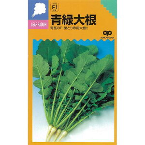 t卪  y t_CR z q 1L i   ؎q ؎ j