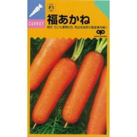 にんじん 種 【 福あかね 】 種子 2dl （ 種 野菜 野菜種子 野菜種 ）