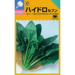 zE\E  y nChZu z q ܁i25mlj i   ؎q ؎ j