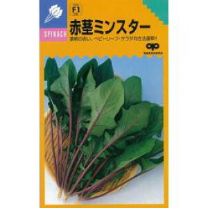 zE\E  y Ԍs~X^[ z (25ml) ( zE\E̎ )