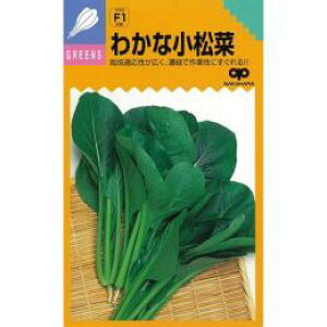   y킩ȁz 2dl i   ؎q ؎ j