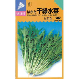 水菜 種 【 早生はかた千緑水菜 】 種子 2dl （ 種 野菜 野菜種子 野菜種 ）