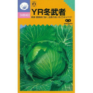 Lxc  y YR~ z q 5痱R[gL i   ؎q ؎ j