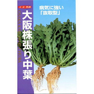 Ђ  y VMN㊔蒆t z q ܁i25mlj i   ؎q ؎ j