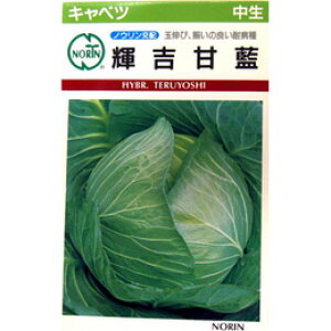 �L���x�c �� �y �P�g�Ê� �z ��q ���܁i��100���j �i �� ��� ��؎�q ��؎� �j