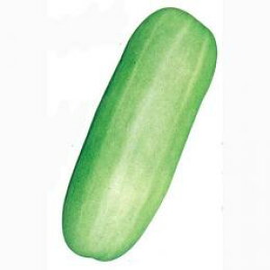 ウリ 種の人気商品 通販 価格比較 価格 Com ウリ 種の人気商品 通販 価格比較 価格 Com