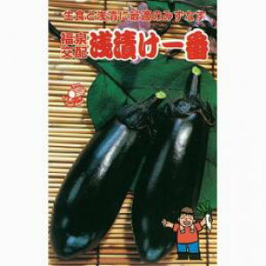 Ȃ  yЈԁz 20ml i   ؎q ؎ j