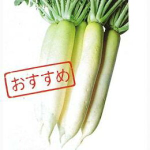 卪  y Җ] z q 2dl i   ؎q ؎ j