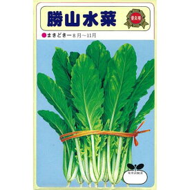 水菜 種 【 勝山水菜 】 種子 小袋（約50ml） （ 種 野菜 野菜種子 野菜種 ）