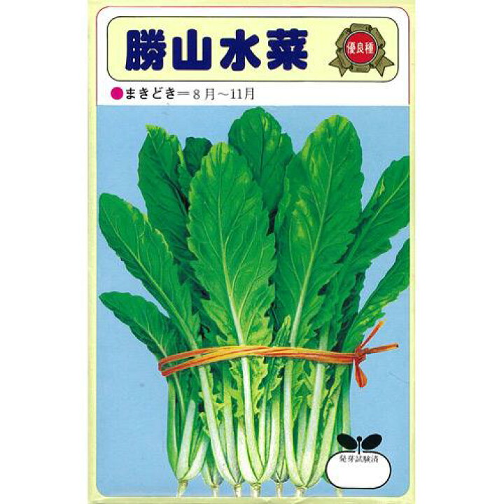 楽天市場 水菜 種 勝山水菜 種子 小袋 約５０ｍｌ 種 野菜 野菜種子 野菜種 菜園くらぶ 家庭菜園の専門店